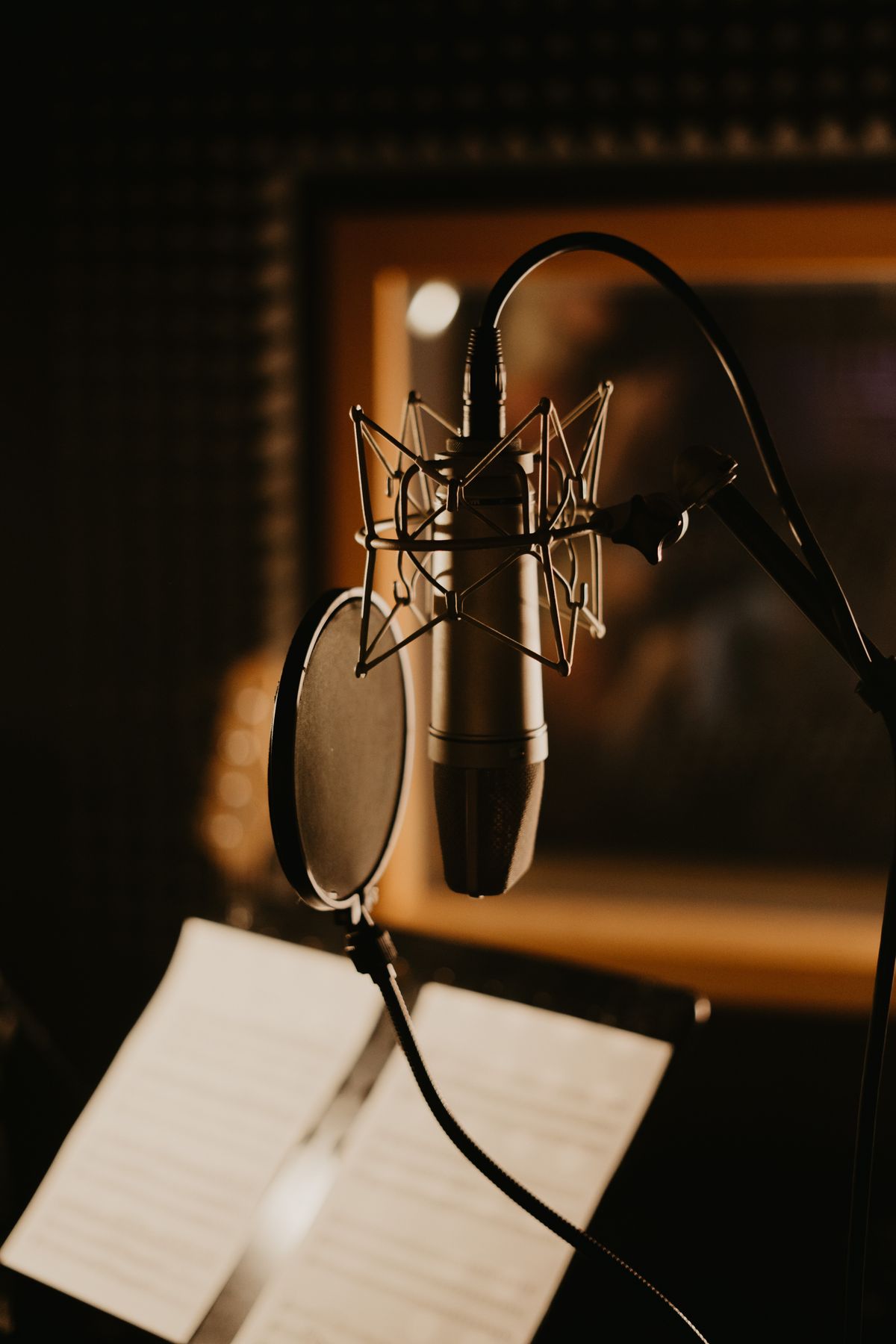 Micrófonos para karaoke y estudio